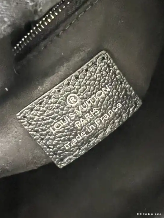 Aaa replica bags VUITTON ONTHEGO LOUIS PM 0531